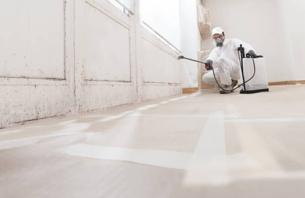 24/7 Emergency Attic Mold Remediation experts in Canyon Lake, TX